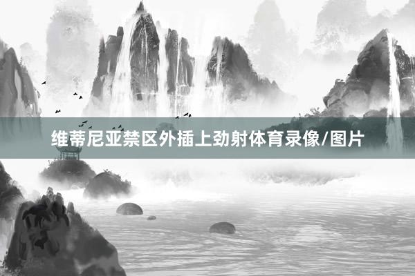 维蒂尼亚禁区外插上劲射体育录像/图片