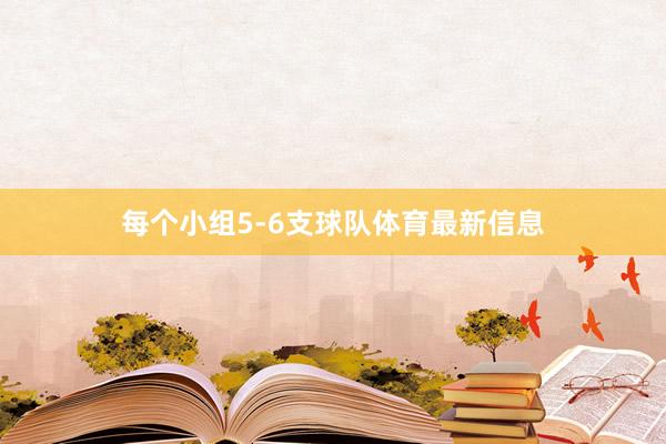 每个小组5-6支球队体育最新信息