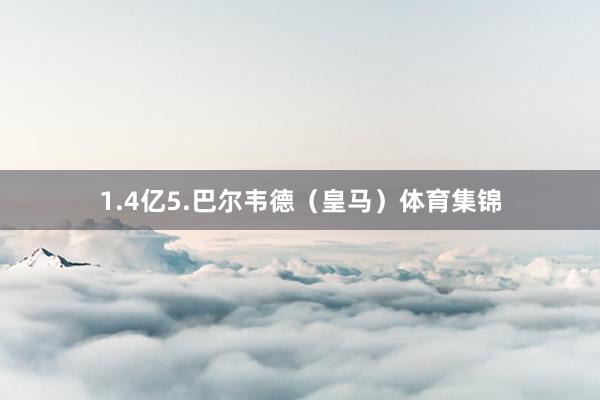 1.4亿5.巴尔韦德（皇马）体育集锦
