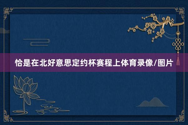恰是在北好意思定约杯赛程上体育录像/图片