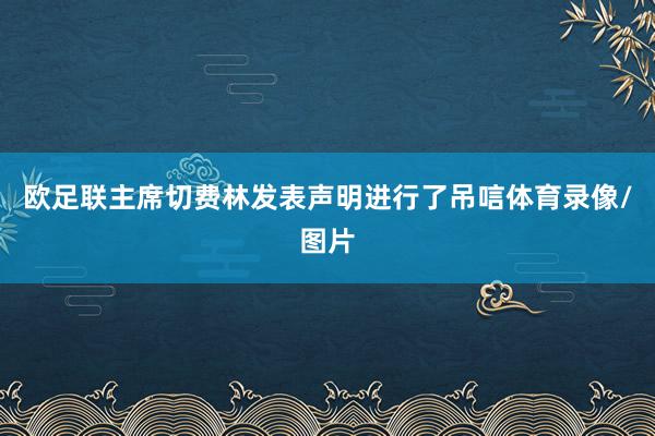 欧足联主席切费林发表声明进行了吊唁体育录像/图片