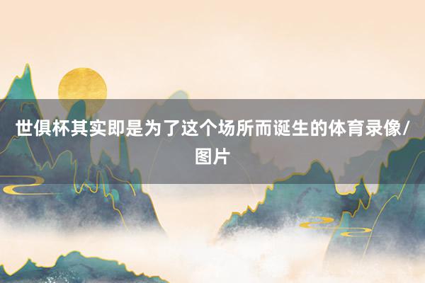 世俱杯其实即是为了这个场所而诞生的体育录像/图片