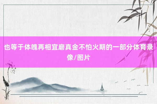 也等于体魄再相宜磨真金不怕火期的一部分体育录像/图片