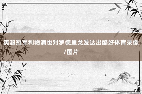 英超冠军利物浦也对罗德里戈发达出酷好体育录像/图片