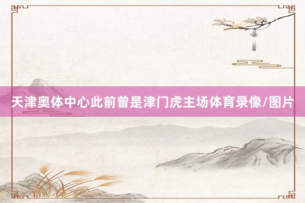 天津奥体中心此前曾是津门虎主场体育录像/图片
