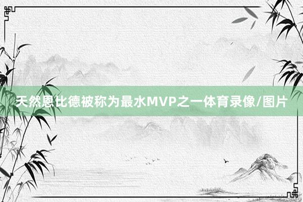 天然恩比德被称为最水MVP之一体育录像/图片