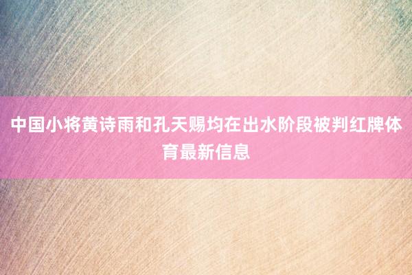 中国小将黄诗雨和孔天赐均在出水阶段被判红牌体育最新信息