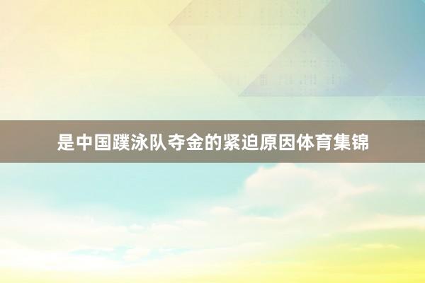 是中国蹼泳队夺金的紧迫原因体育集锦