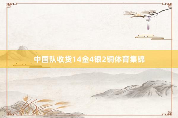 中国队收货14金4银2铜体育集锦