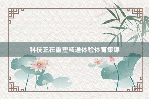 科技正在重塑畅通体验体育集锦