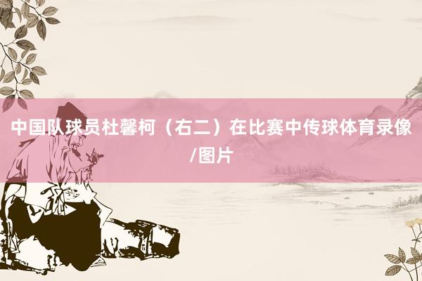 中国队球员杜馨柯（右二）在比赛中传球体育录像/图片