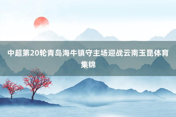 中超第20轮青岛海牛镇守主场迎战云南玉昆体育集锦