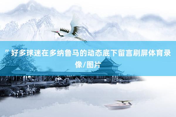 ”好多球迷在多纳鲁马的动态底下留言刷屏体育录像/图片