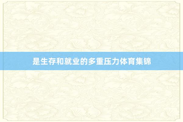 是生存和就业的多重压力体育集锦