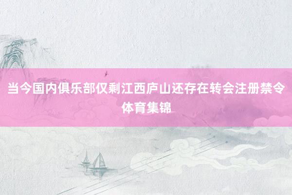 当今国内俱乐部仅剩江西庐山还存在转会注册禁令体育集锦