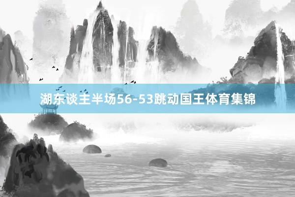 湖东谈主半场56-53跳动国王体育集锦