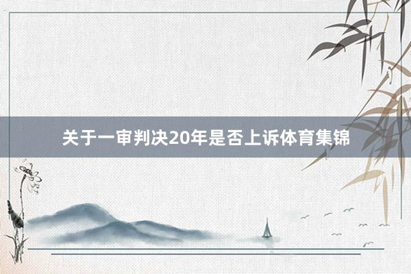关于一审判决20年是否上诉体育集锦