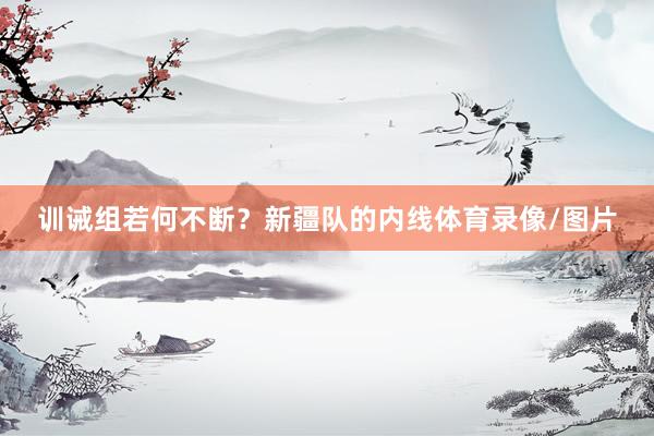 训诫组若何不断？新疆队的内线体育录像/图片