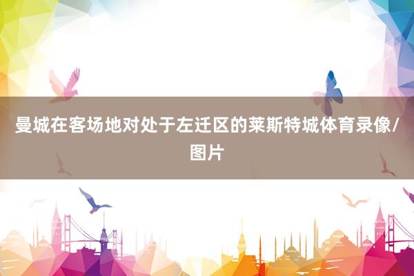 曼城在客场地对处于左迁区的莱斯特城体育录像/图片