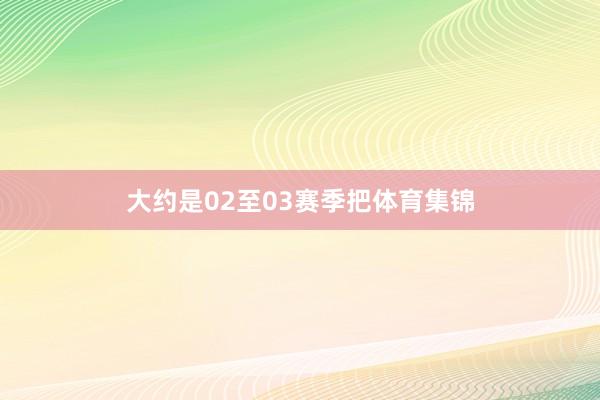 大约是02至03赛季把体育集锦