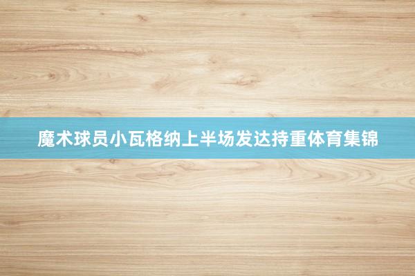 魔术球员小瓦格纳上半场发达持重体育集锦