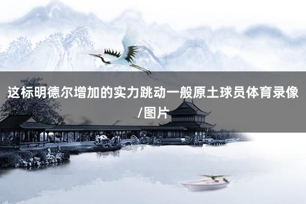 这标明德尔增加的实力跳动一般原土球员体育录像/图片