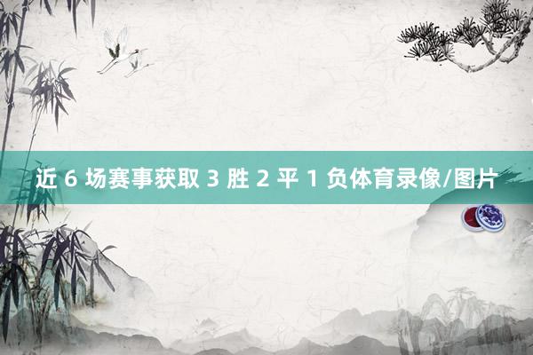 近 6 场赛事获取 3 胜 2 平 1 负体育录像/图片