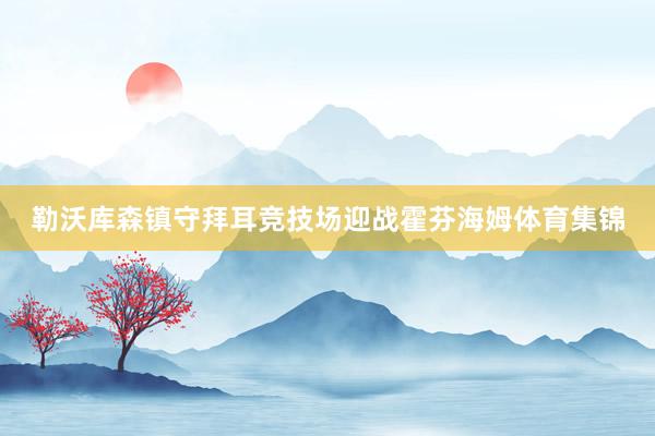 勒沃库森镇守拜耳竞技场迎战霍芬海姆体育集锦