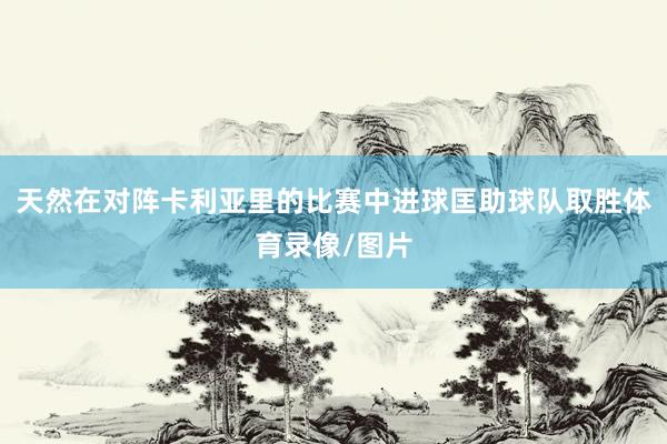 天然在对阵卡利亚里的比赛中进球匡助球队取胜体育录像/图片
