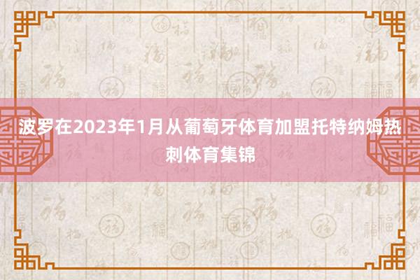 波罗在2023年1月从葡萄牙体育加盟托特纳姆热刺体育集锦