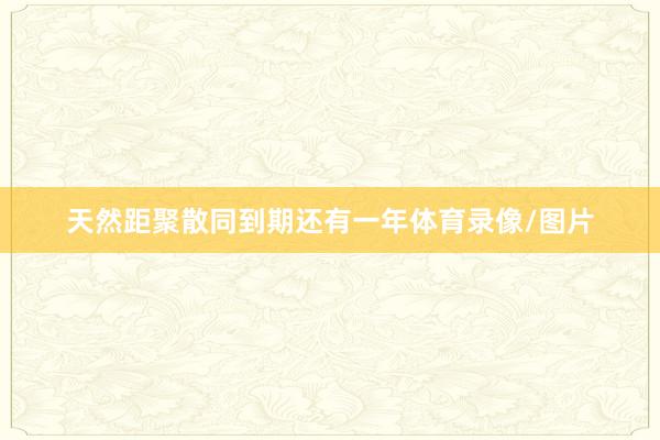 天然距聚散同到期还有一年体育录像/图片