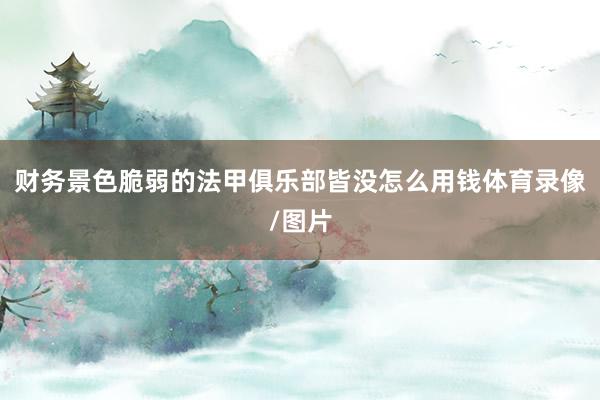 财务景色脆弱的法甲俱乐部皆没怎么用钱体育录像/图片