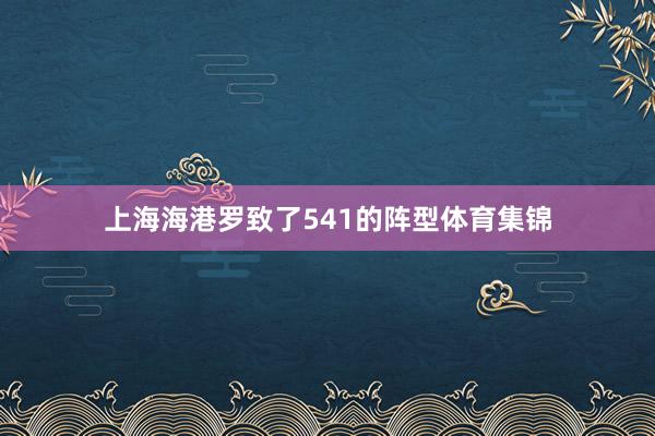 上海海港罗致了541的阵型体育集锦