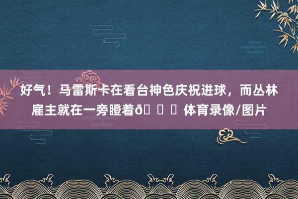 好气！马雷斯卡在看台神色庆祝进球，而丛林雇主就在一旁瞪着👀体育录像/图片