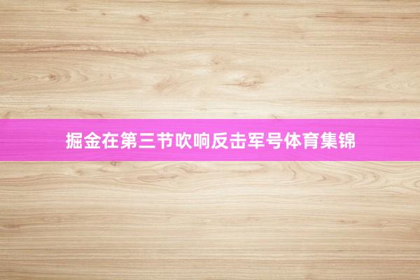 掘金在第三节吹响反击军号体育集锦