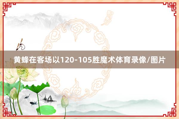 黄蜂在客场以120-105胜魔术体育录像/图片