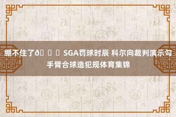 绷不住了😂SGA罚球时辰 科尔向裁判演示勾手臂合球造犯规体育集锦