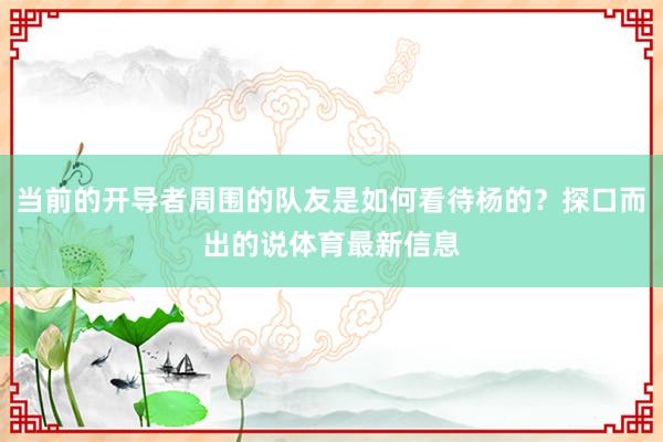 当前的开导者周围的队友是如何看待杨的？探口而出的说体育最新信息
