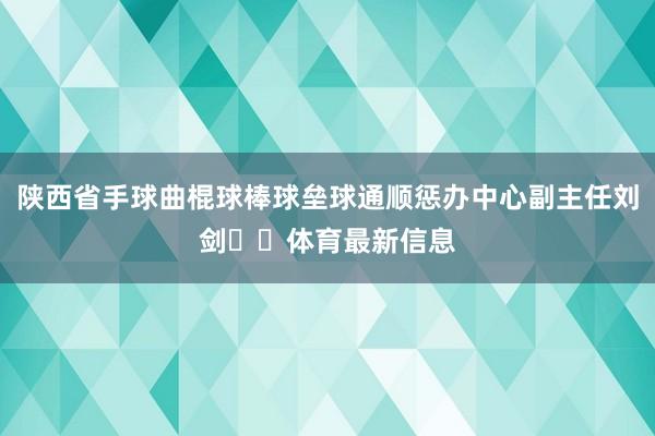 陕西省手球曲棍球棒球垒球通顺惩办中心副主任刘剑  体育最新信息