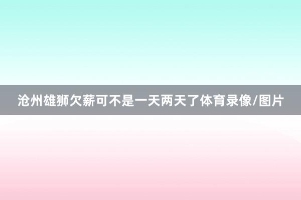 沧州雄狮欠薪可不是一天两天了体育录像/图片