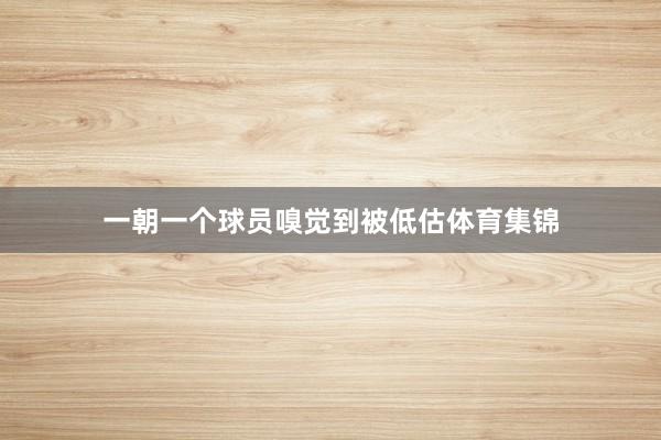 一朝一个球员嗅觉到被低估体育集锦