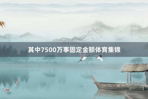 其中7500万事固定金额体育集锦