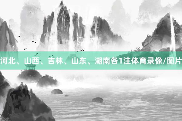 河北、山西、吉林、山东、湖南各1注体育录像/图片