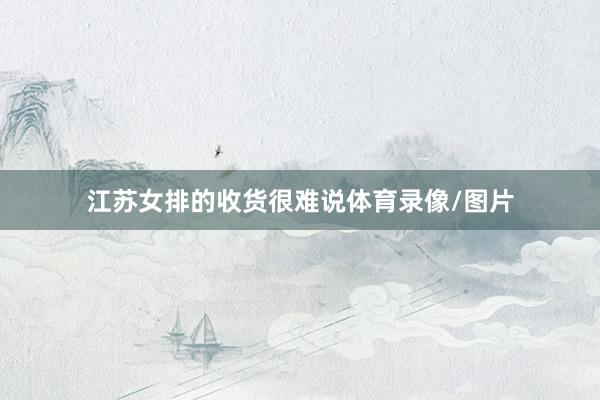 江苏女排的收货很难说体育录像/图片