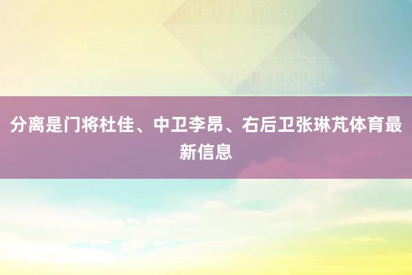 分离是门将杜佳、中卫李昂、右后卫张琳芃体育最新信息