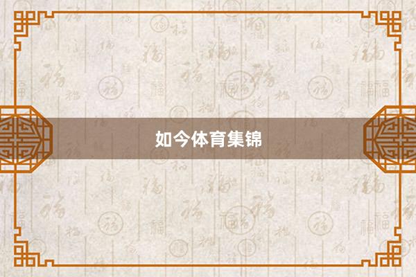 如今体育集锦