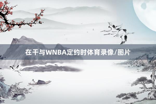 在干与WNBA定约时体育录像/图片