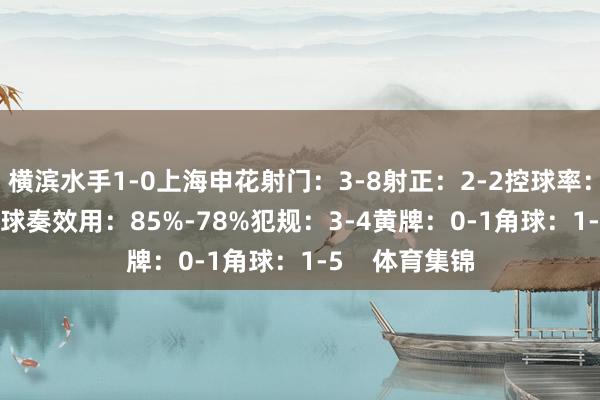 横滨水手1-0上海申花射门：3-8射正：2-2控球率：51%-49%传球奏效用：85%-78%犯规：3-4黄牌：0-1角球：1-5    体育集锦