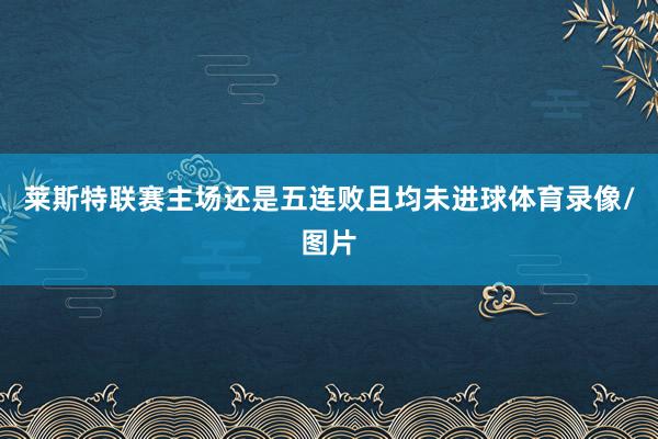 莱斯特联赛主场还是五连败且均未进球体育录像/图片