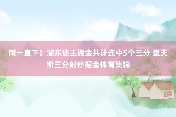 雨一直下！湖东谈主掘金共计连中5个三分 里夫斯三分射停掘金体育集锦